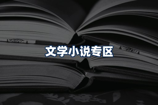 文学小说PDF展示